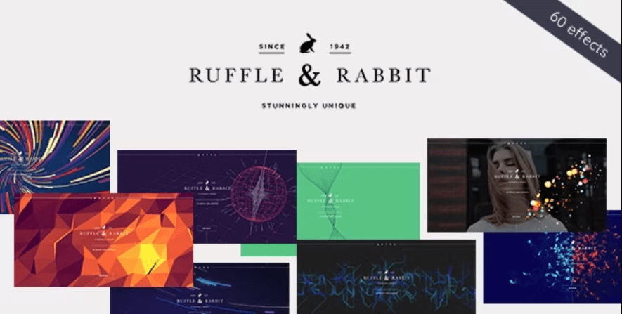 Rabbit – Exclusive Coming Soon WordPress Theme