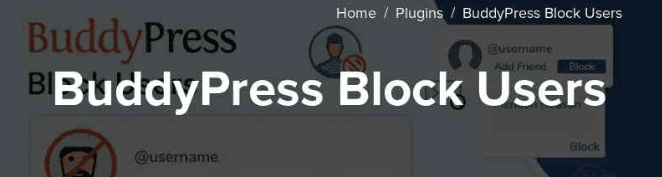 BuddyPress Block Users